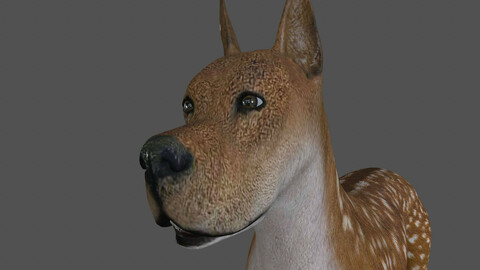 FDGD.002 Dog animation