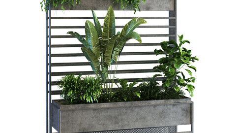 plant in box set 060