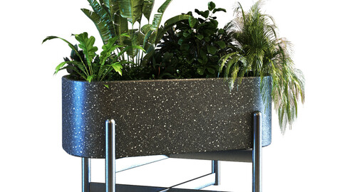 plant in box set 062