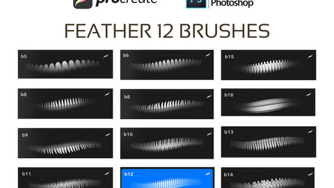 FEATHER 12 BRUSHES