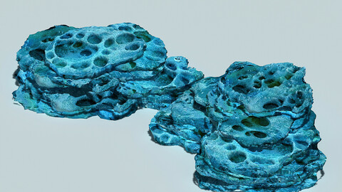 Haiyuan Mountain - Cave Mountain 13