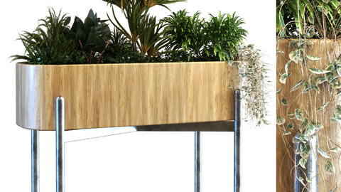 plant in box set 068