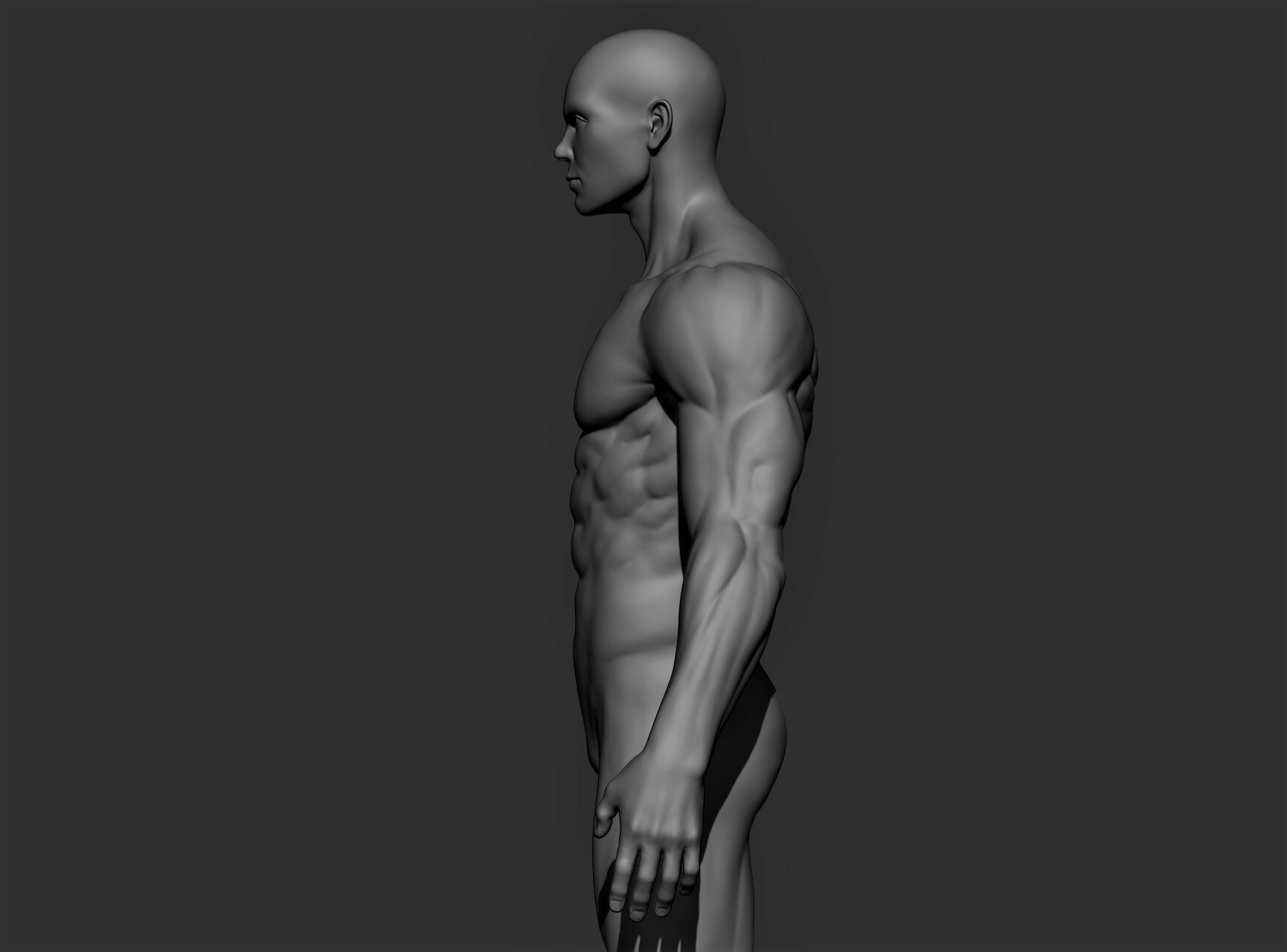 Artstation Realistic Male Full Body Resources