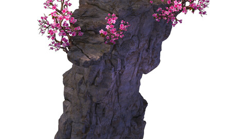 Peach Blossom Island - Surface 03