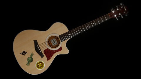 Taylor Guitar 313ce