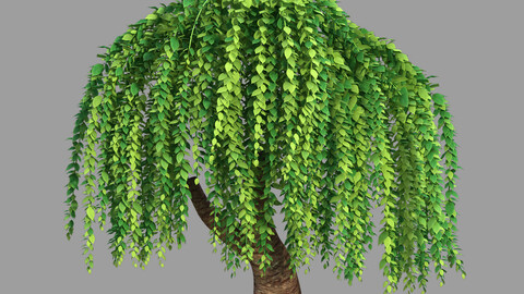 100 acres of forest - willow 15