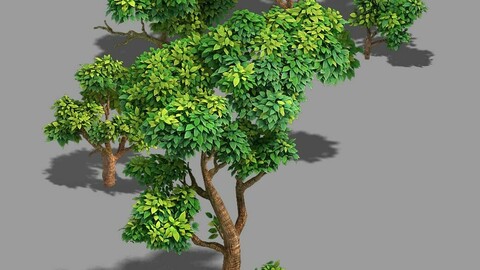 100 acres of forest - small tree 03