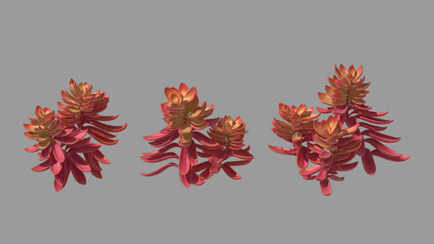 main city - Plant 58