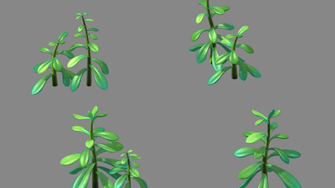 main city - Plant - Aloe 02