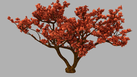 Red Plant - Tree 03