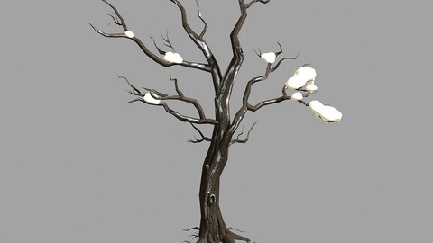 Snow Covered - Dry Tree 03