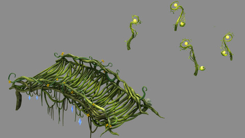 Elf Area - Rattan Bridge