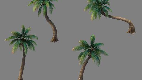 Kazlog shallow bay - tree 03