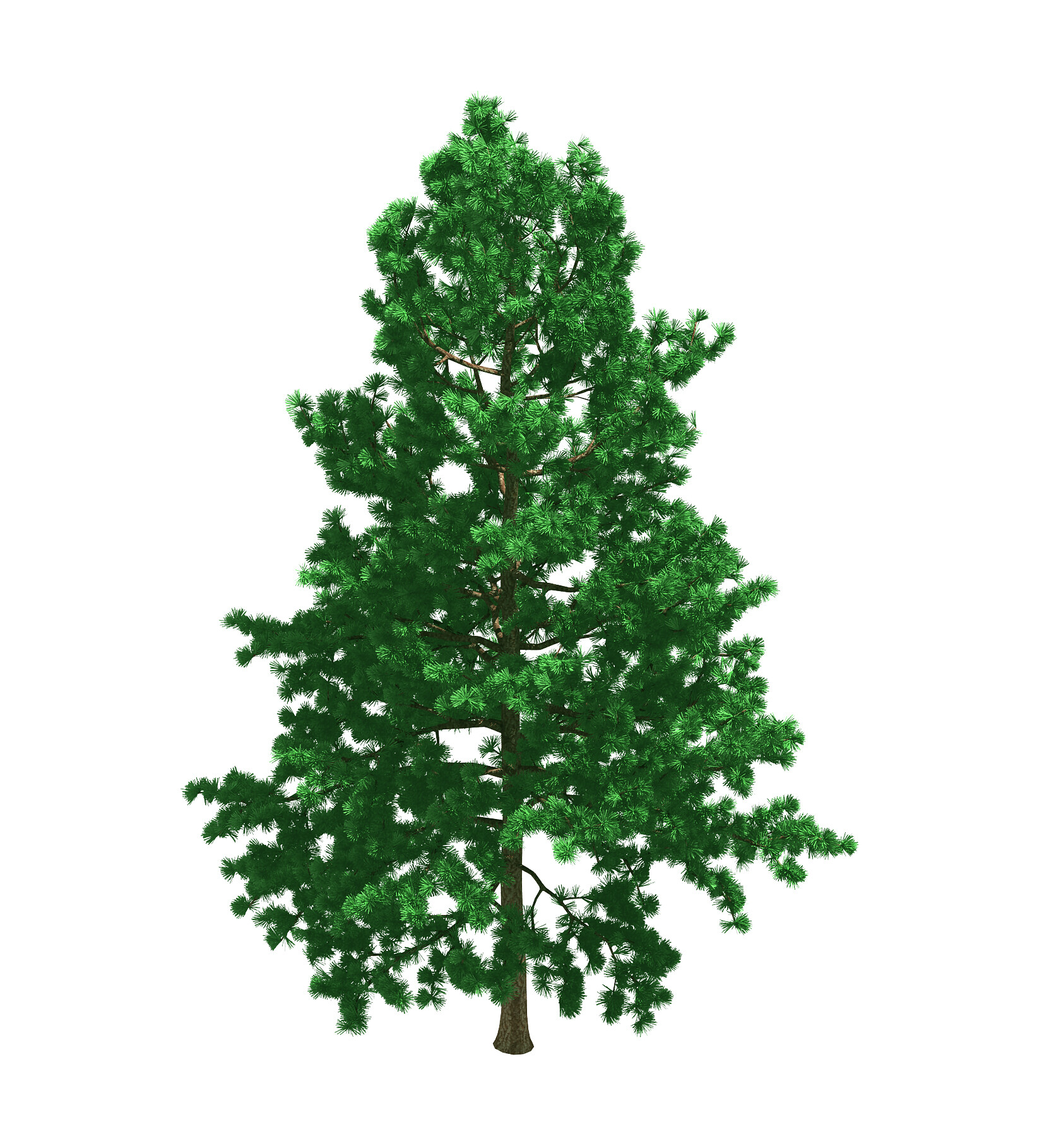 ArtStation - Forest - White Pine 78 | Game Assets