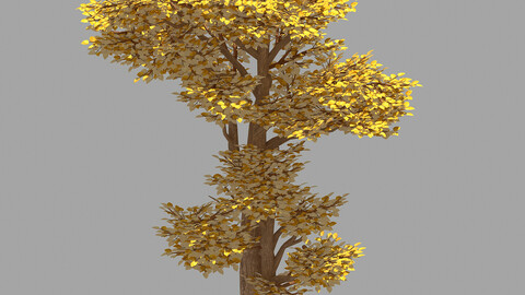 Forest - Populus 002