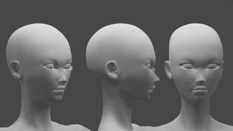 modelled but not rigged or texture female character