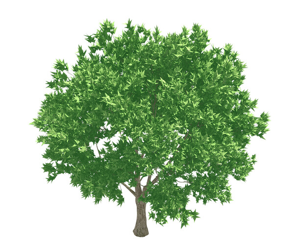 ArtStation - Forest - Olive Trees 32 | Game Assets