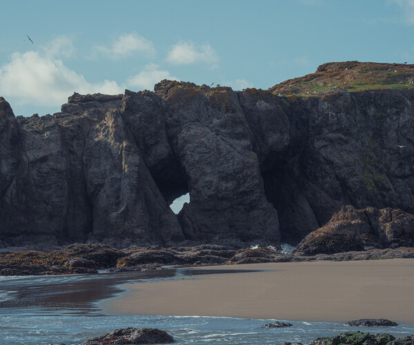 ArtStation - PACIFIC NORTHWEST COAST | PHOTOPACK | Resources