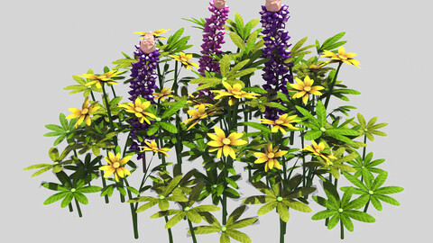 Small plants - Shanhua 39