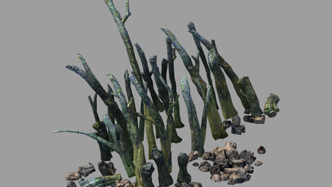 Star Trek - Destroyed Branch 01