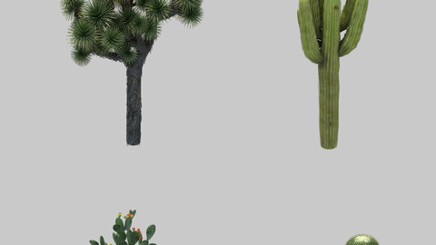 Blood Ritual Canyon - Desert Plant 01