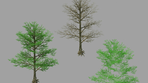 Moon Temple - Pine Tree 02