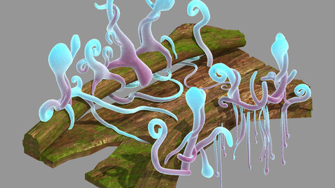 Yunmengze - Wooden Bridge 35