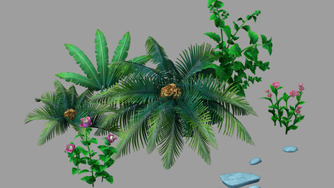 Plant - Dwarf Bushes 24