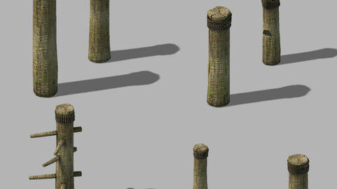 Kung Fu - Equipment - Plum Blossoms 12