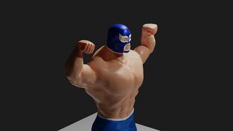 Masked Fighter - Lucha Libre - Wrestling 3D model