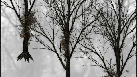 Dark Trees Pack 1 Ivy