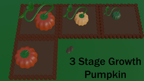 Pumpkin 3 Stage Growth