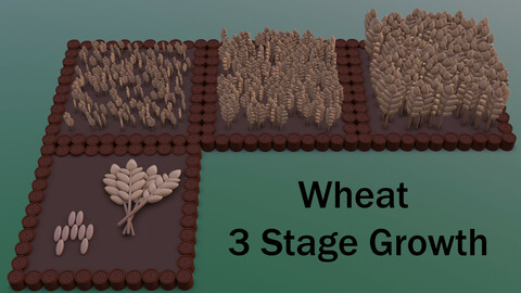 Wheat 3 Stage Growth