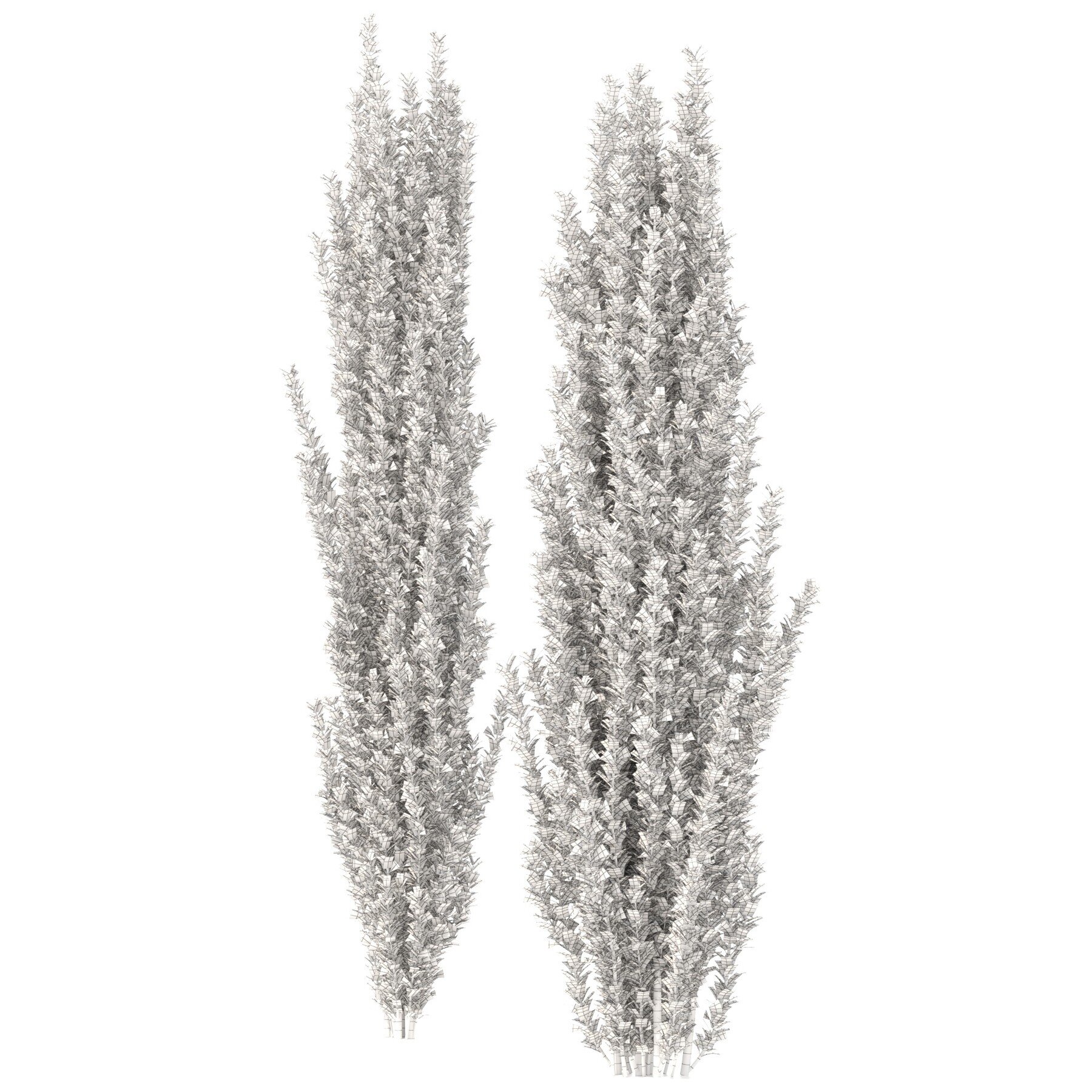 ArtStation - Ilex crenata tree | Resources