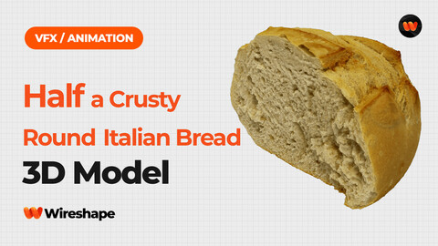 Half a Crusty Round Italian Bread - Extreme Definition 3D Scanned