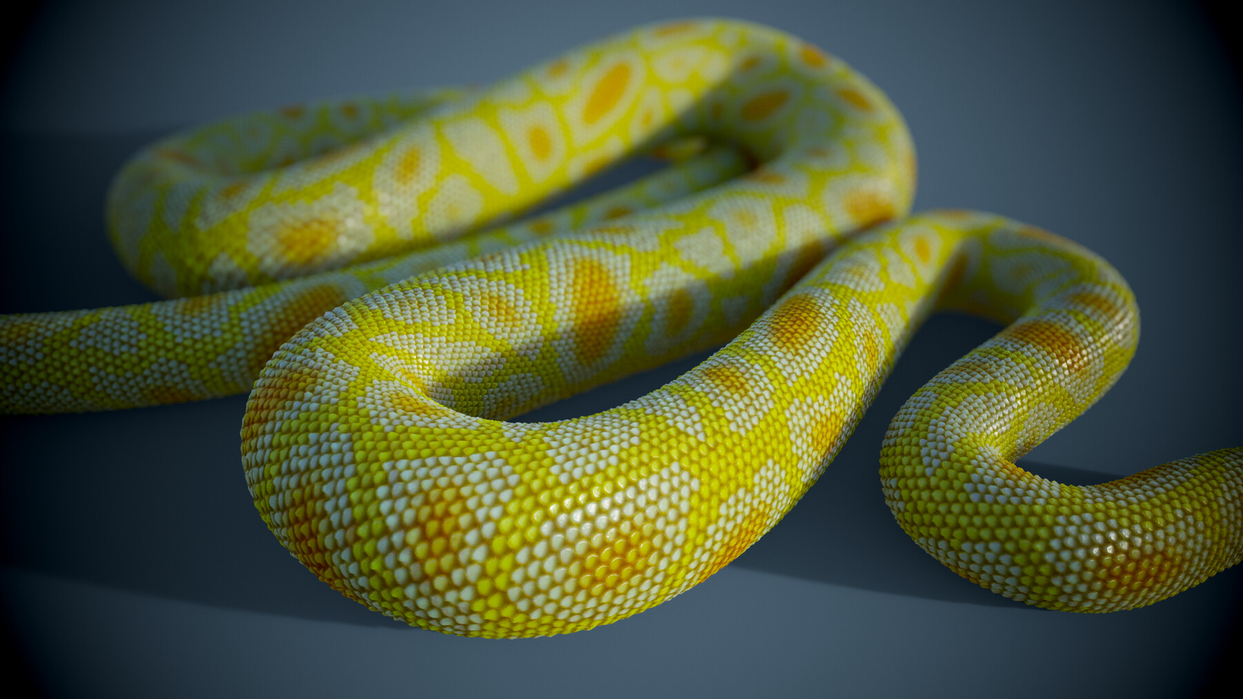 Creating Procedural Snakes in Substance Designer