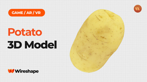 Potato - Real-Time 3D Scanned