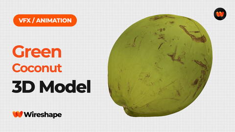 Green Coconut - Extreme Definition 3D Scanned