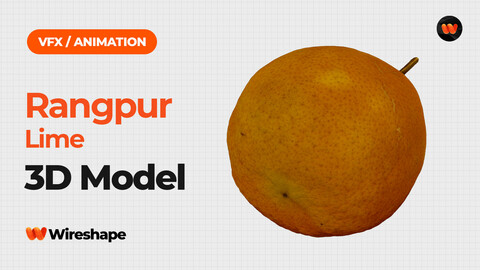 Rangpur Lime - Extreme Definition 3D Scanned