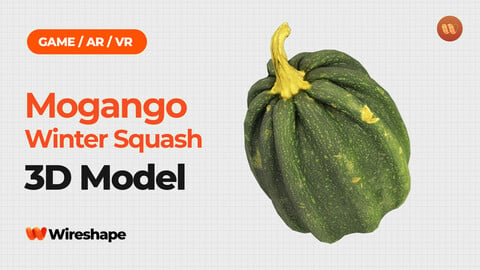 Mogango Winter Squash - Real-Time 3D Scanned