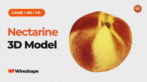 Nectarine - Real-Time 3D Scanned