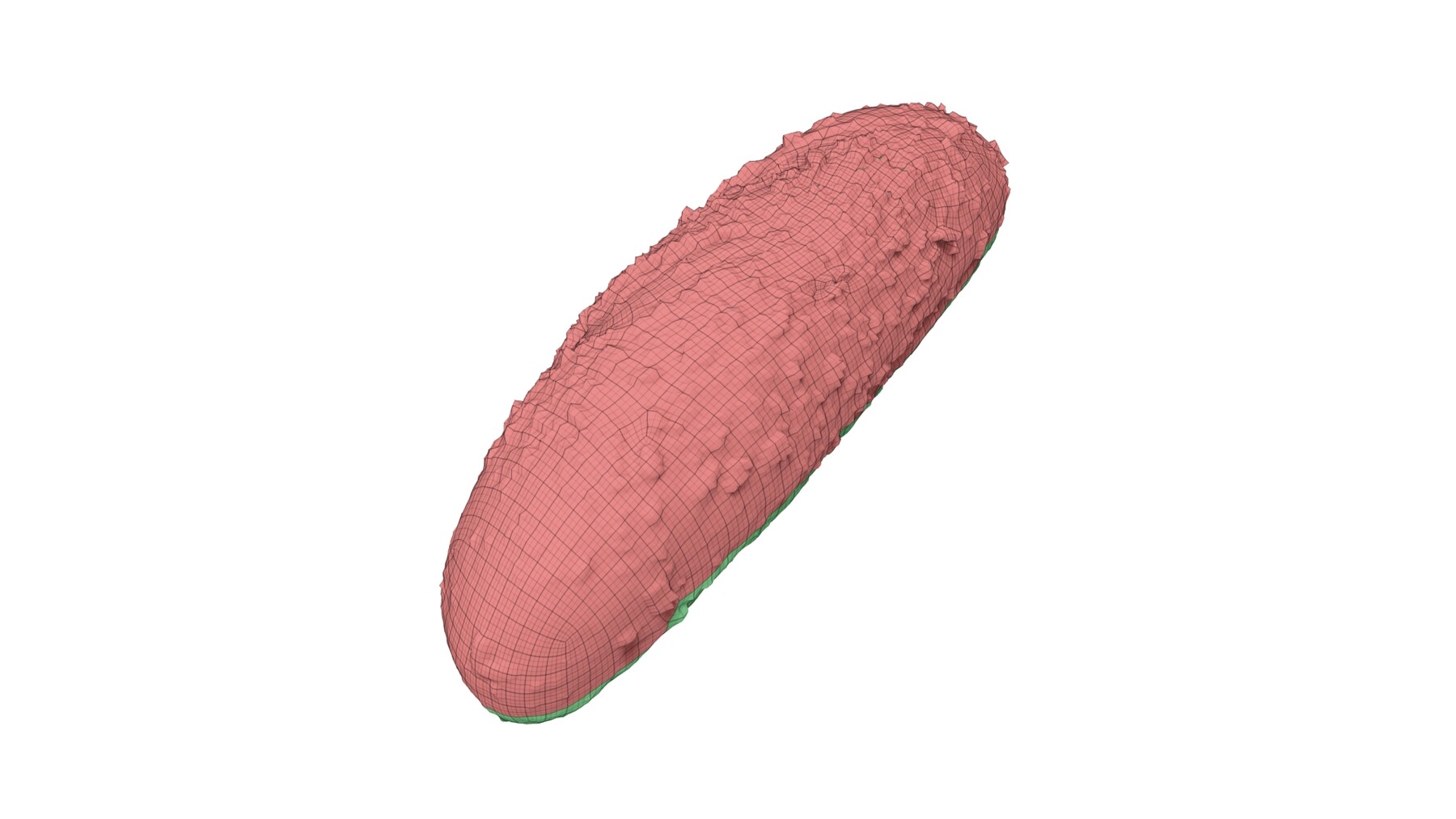ArtStation Multigrain Roll Extreme Definition 3D Scanned Resources