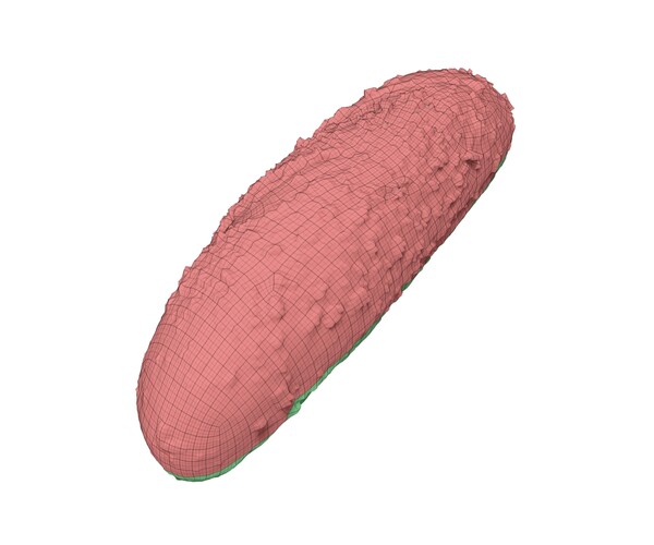 ArtStation Multigrain Roll Extreme Definition 3D Scanned Resources