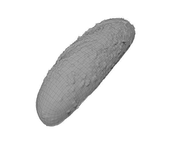 ArtStation Multigrain Roll Extreme Definition 3D Scanned Resources