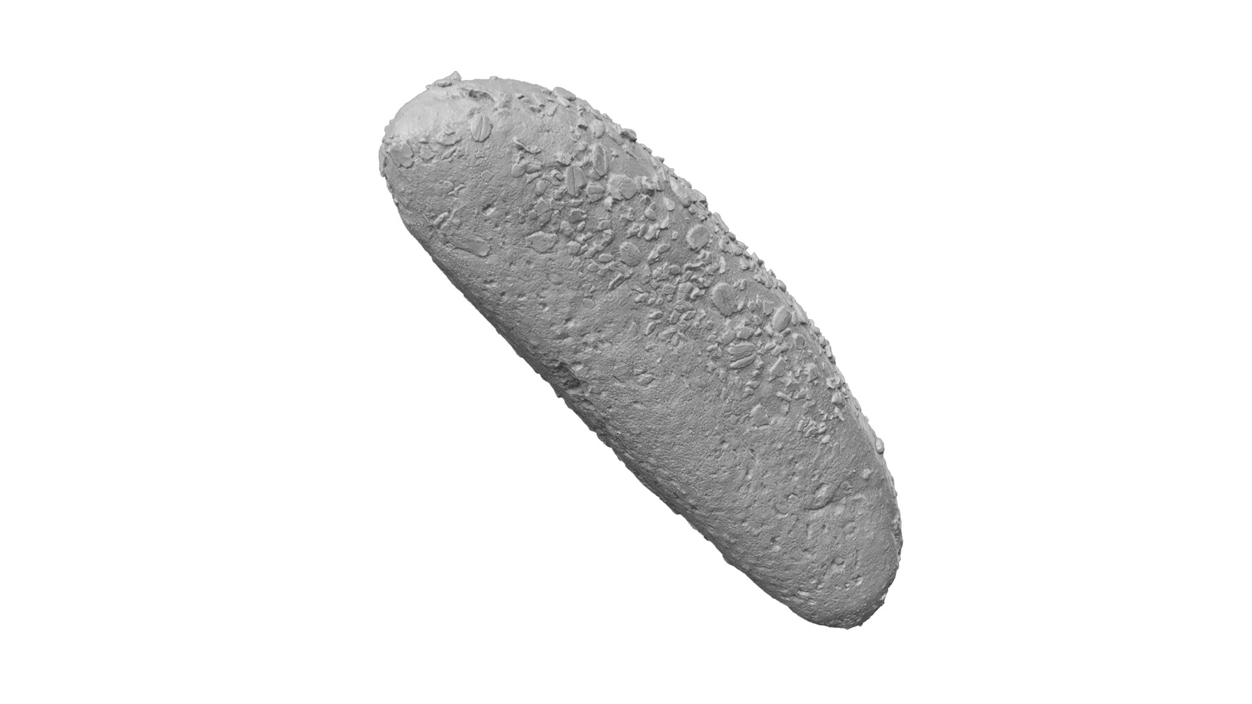 ArtStation Multigrain Roll Extreme Definition 3D Scanned Resources