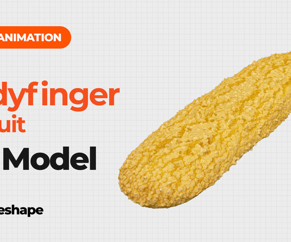 ArtStation Ladyfinger Biscuit Extreme Definition 3D Scanned Resources