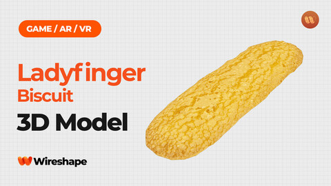 Ladyfinger Biscuit - Real-Time 3D Scanned