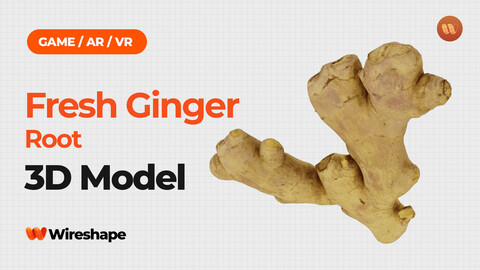 Fresh Ginger Root - Real-Time 3D Scanned