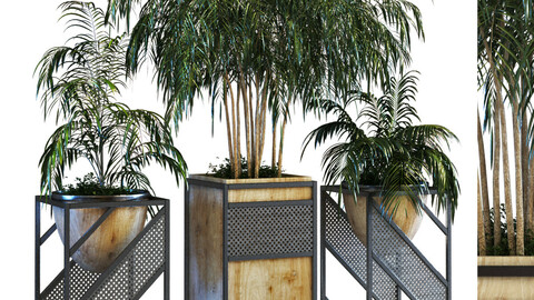 plant in box set 075