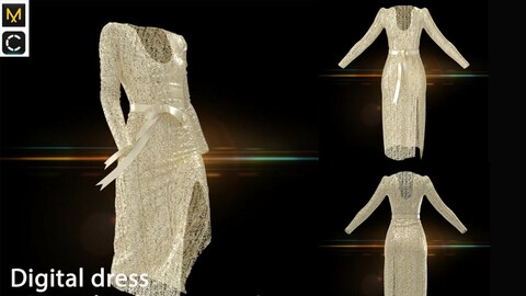 Digital dress